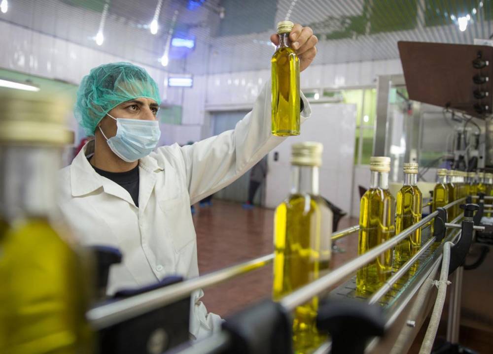 تونس: صادرات زيت الزيتون تتخطى مليار دولار منذ نوفمبر الماضي 